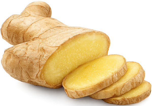 🫚 الزنجبيل