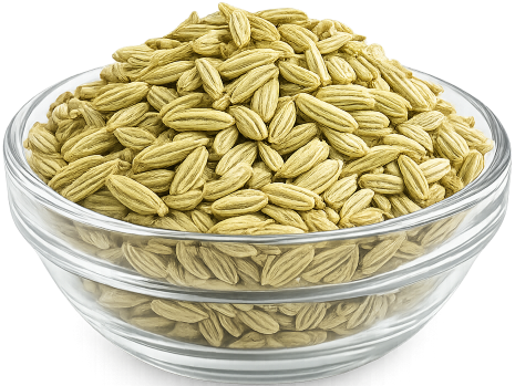 🌾 بذور الشمر