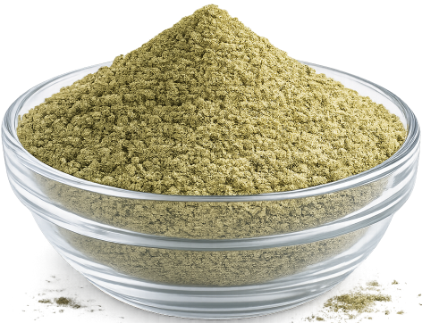 🍃 الشاي الأخضر